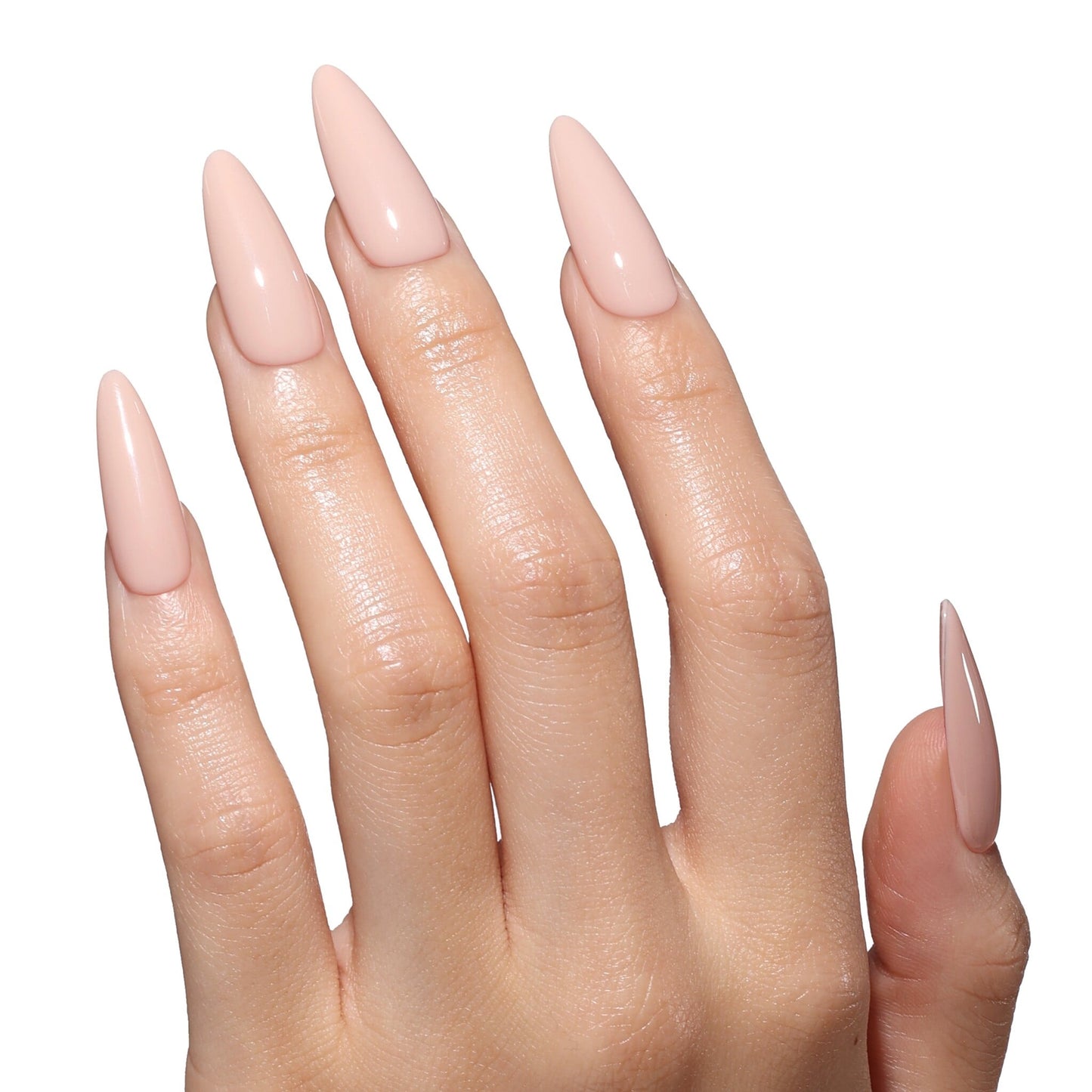 Bluesky AW2501 Pink Hunt