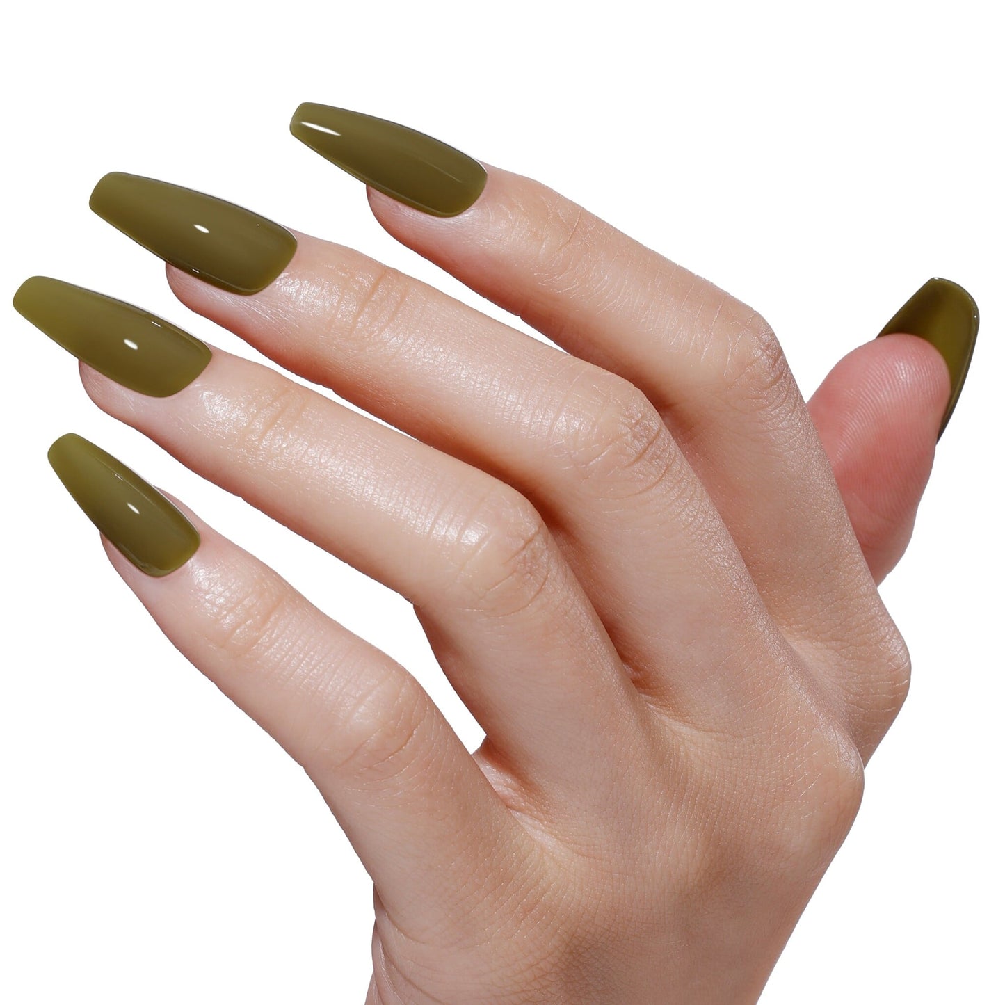 Bluesky AW2519 Deep Jungle