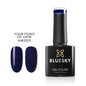 Bluesky AW2315 Your Point of View