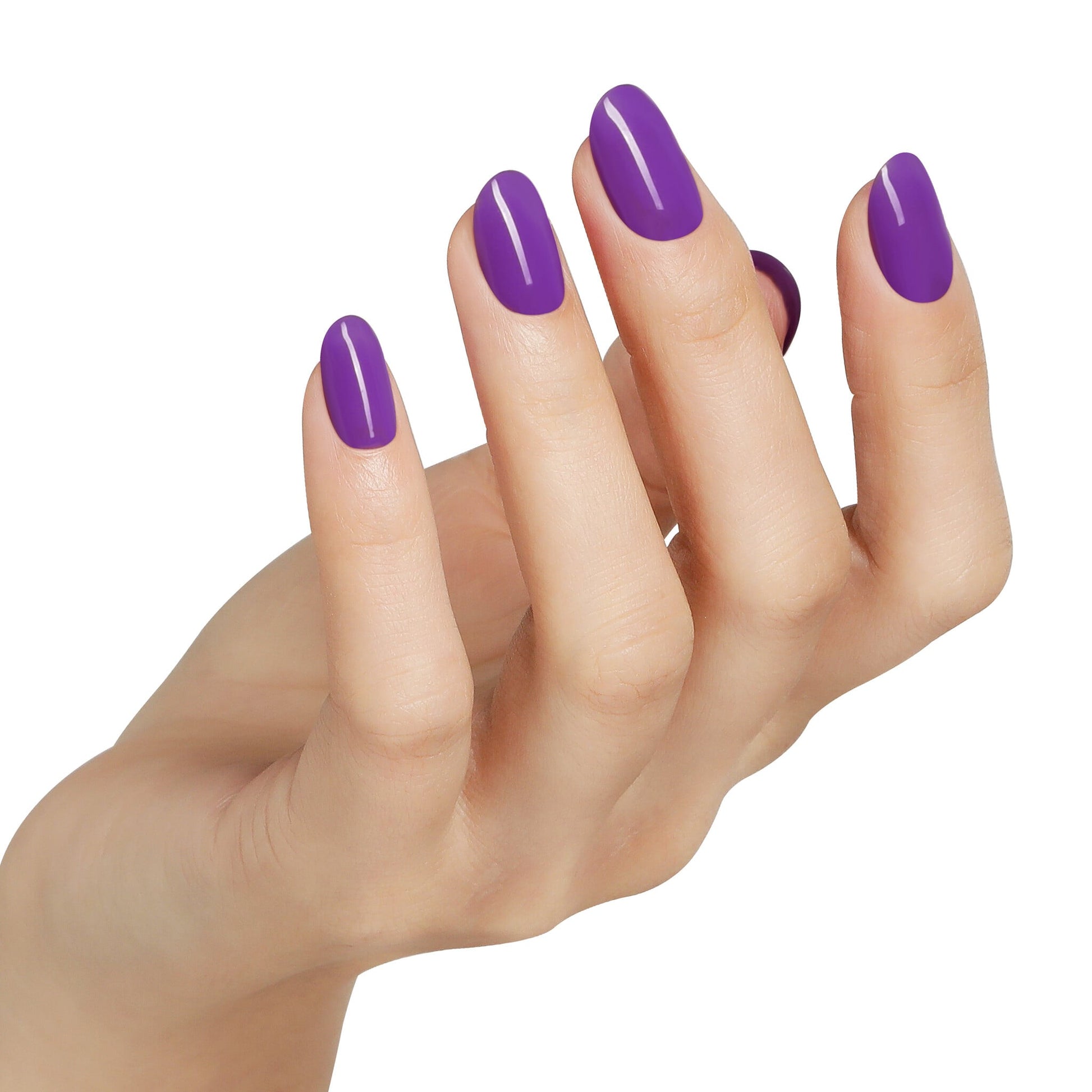 Bluesky AW2401 Soft Amethyst