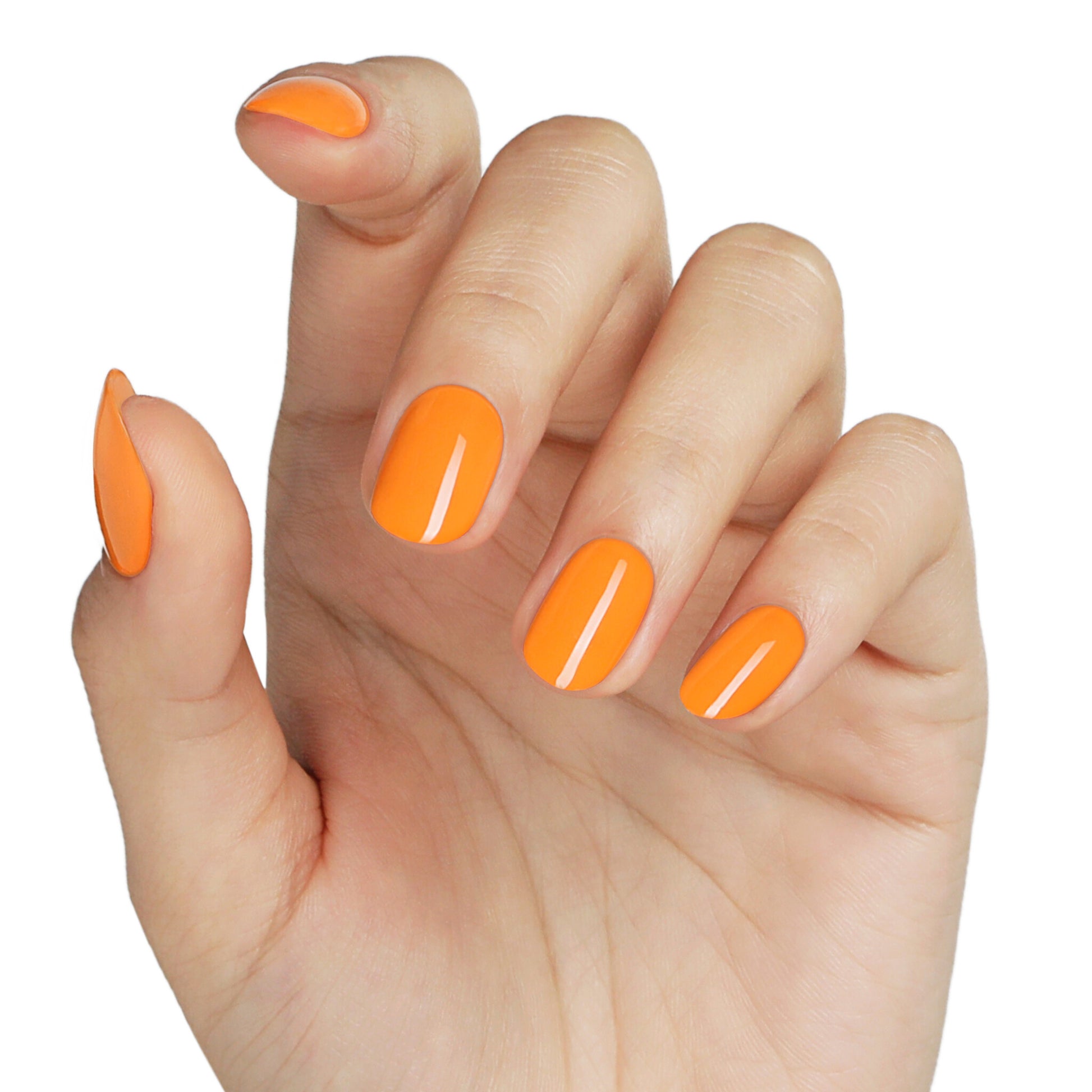 Bluesky AW2404 Peachy Crush
