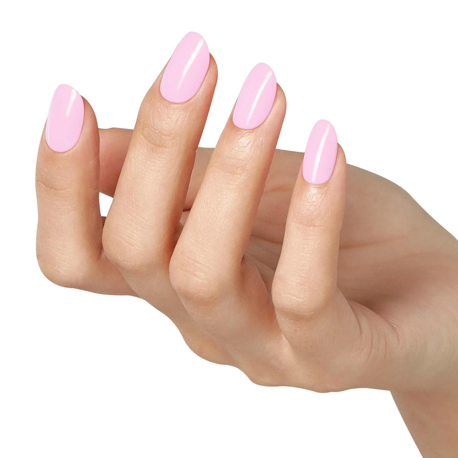 Bluesky AW2408 Blush Blossom 