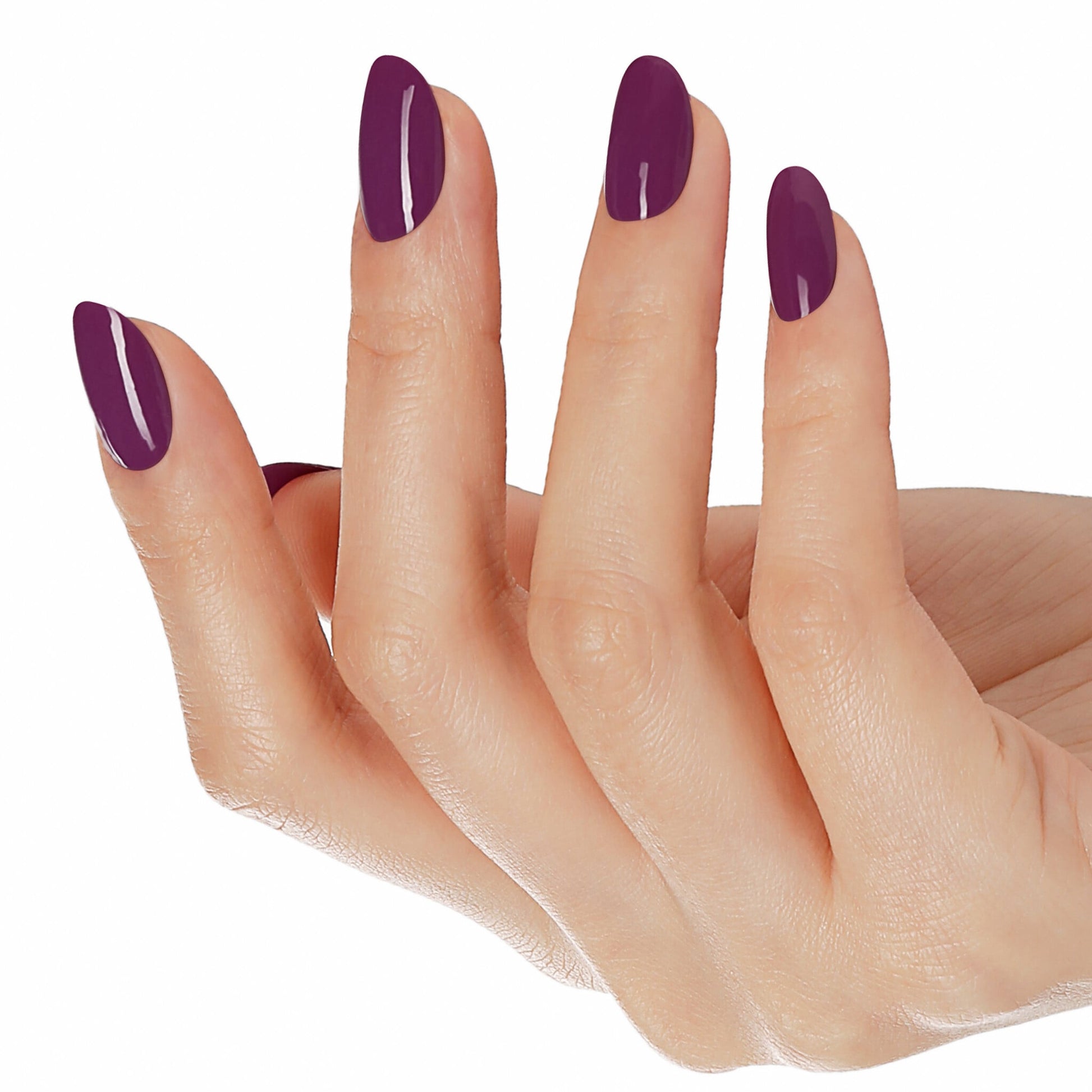 Bluesky AW2409 Velvet Plum 