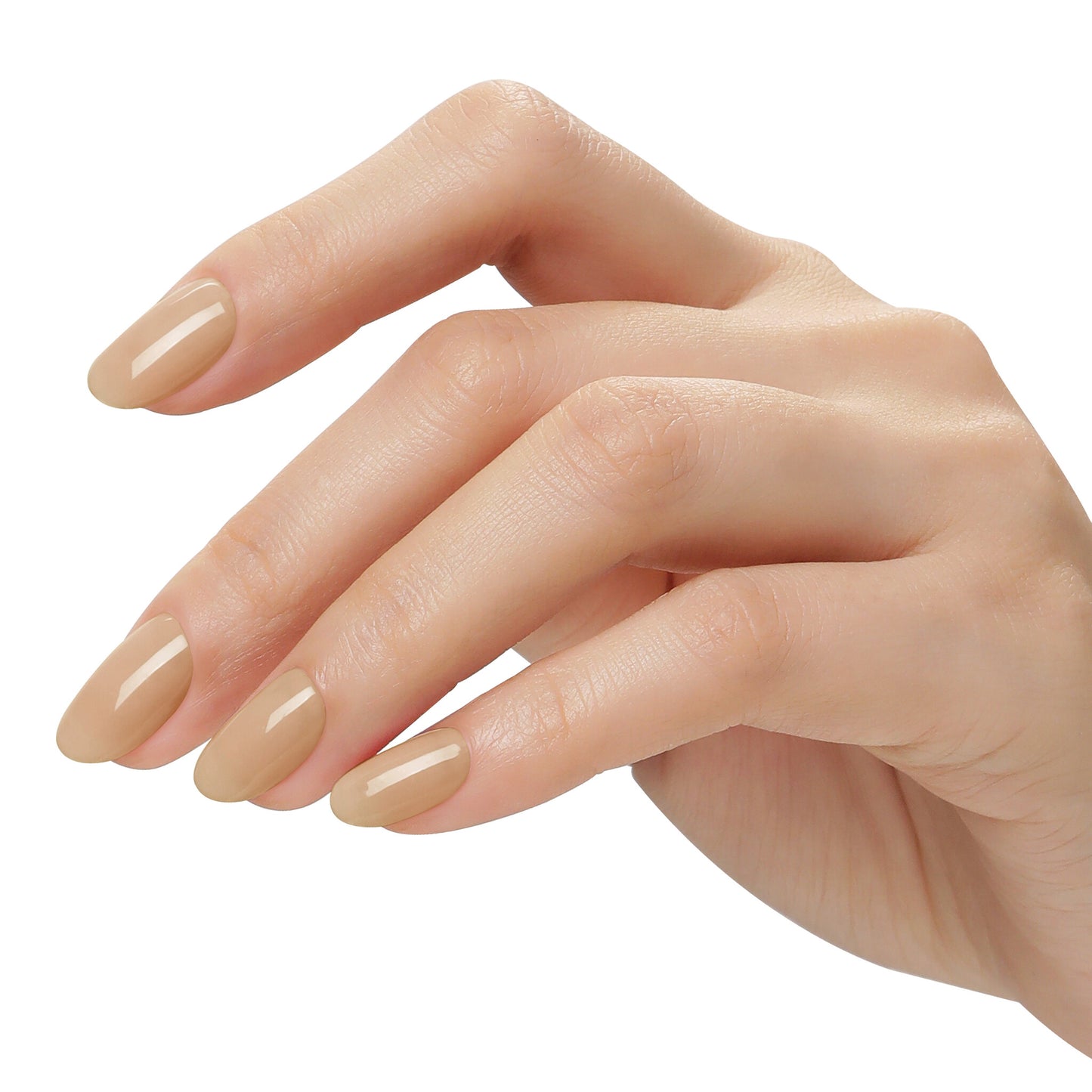Bluesky AW2411 Creamy Serenity