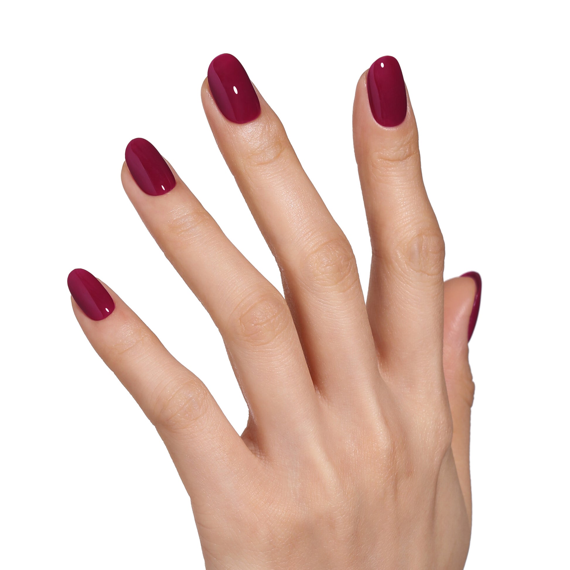 Bluesky AW2413 Berry Elixer 