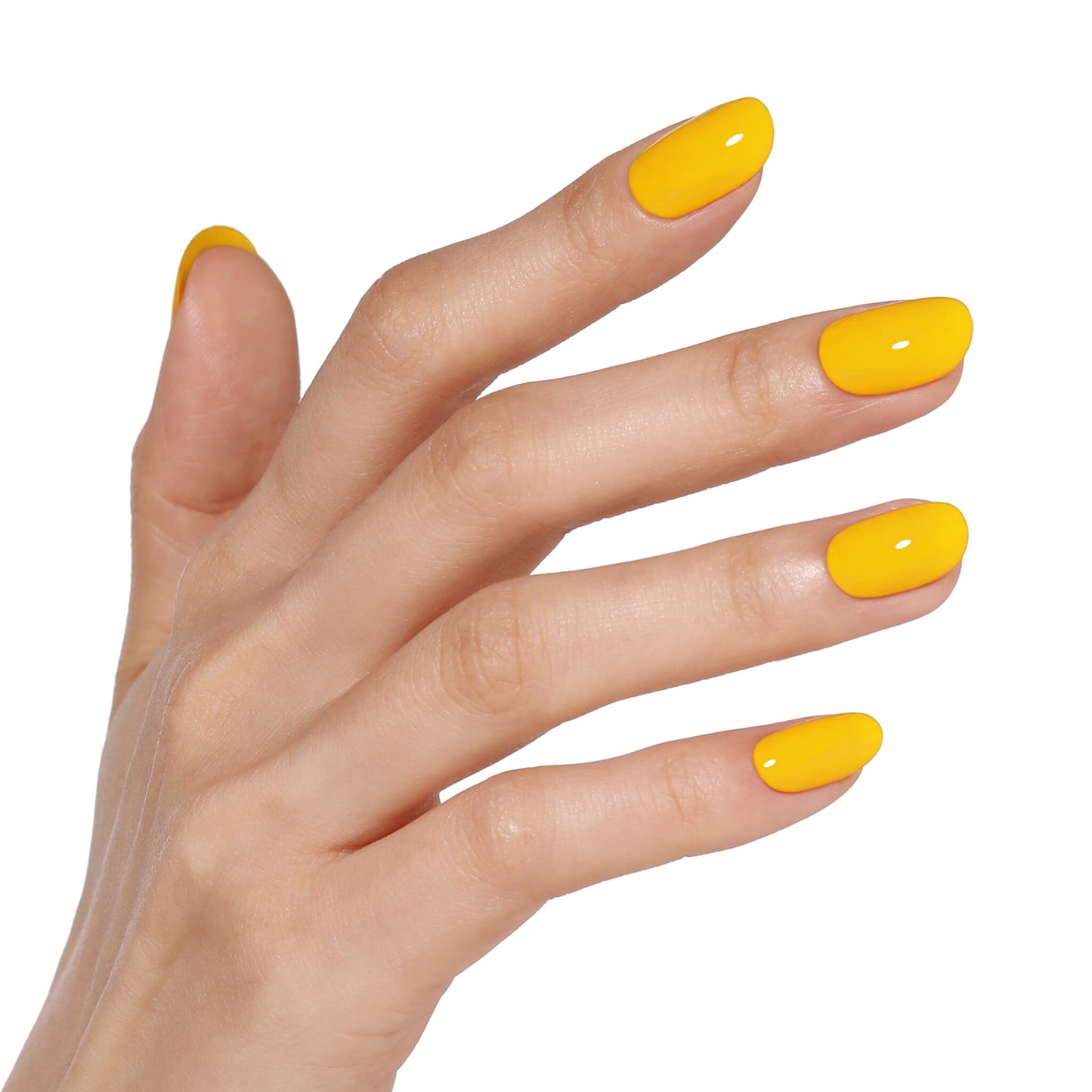 Bluesky AW2414 Sunflower Glow 