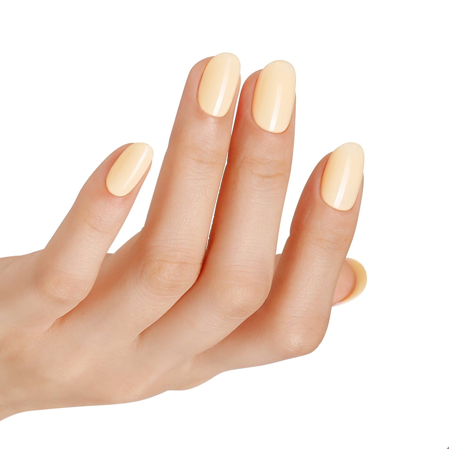 Bluesky AW2416 Creamy Bliss 