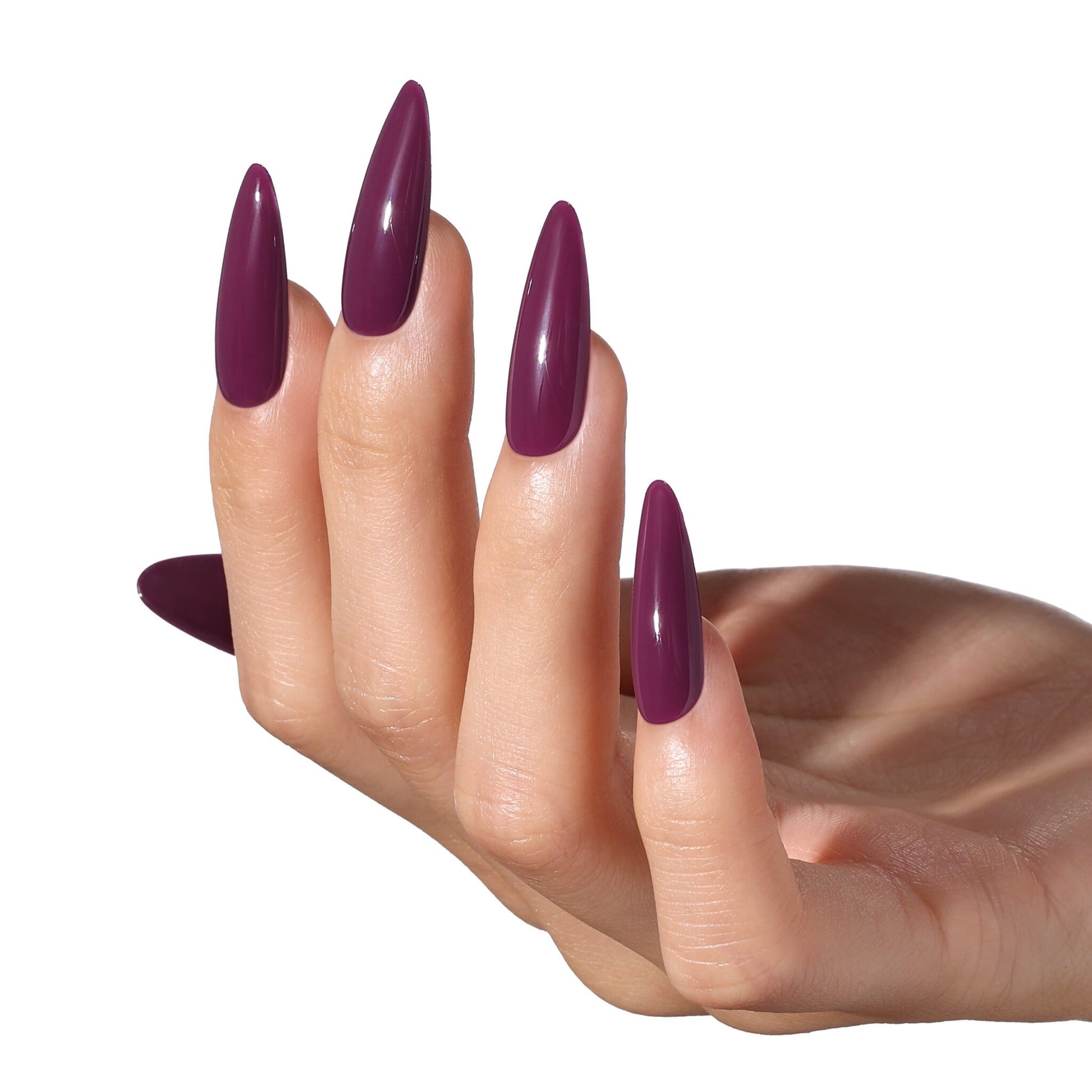 Bluesky AW2504 Lionheart Lacquer