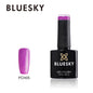Blueskygellak.nl PCH05